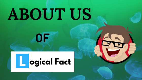 About Us Of Logical Fact  