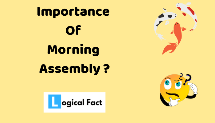 Importance Of Morning Assembly ? – Logical Fact