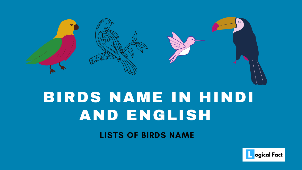 30 पक्षियों के नाम or Birds Name In Hindi And English.