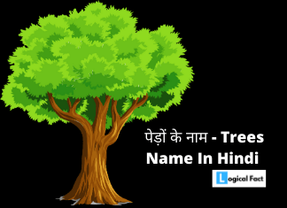 पेड़ों के नाम हिंदी और इंग्लिश में – Trees Name In Hindi And English