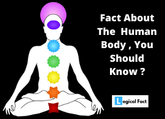 इंसानी शरीर से जुड़ी कुछ रोचक व अनोखी बातें -Facts About the Human Body Hindi.