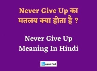 Never Give up meaning in Hindi | Never Give Up Ka Matlab