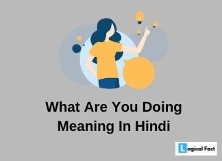 What Are You Doing Now Meaning In Hindi – व्हाट आर यू