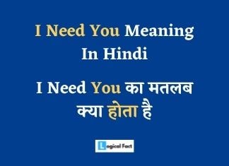 I Need You Meaning In Hindi