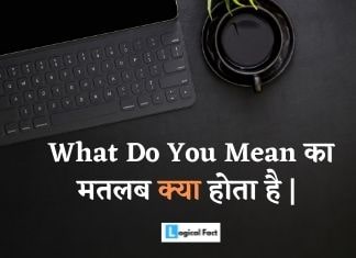 व्हाट डू यू मीन का मतलब क्या होता है | What do you mean meaning in hindi