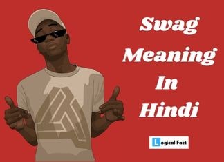 Swag Meaning In Hindi