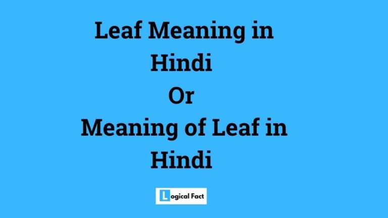 leaf-meaning-in-hindi-leaf