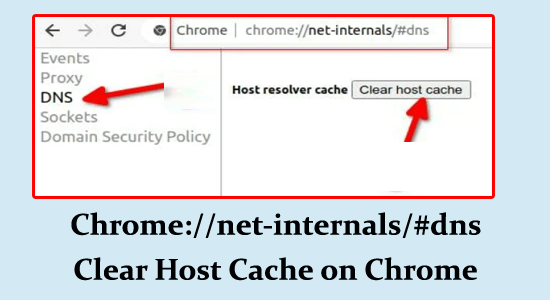 Chrome //net-internals/#dns Clear