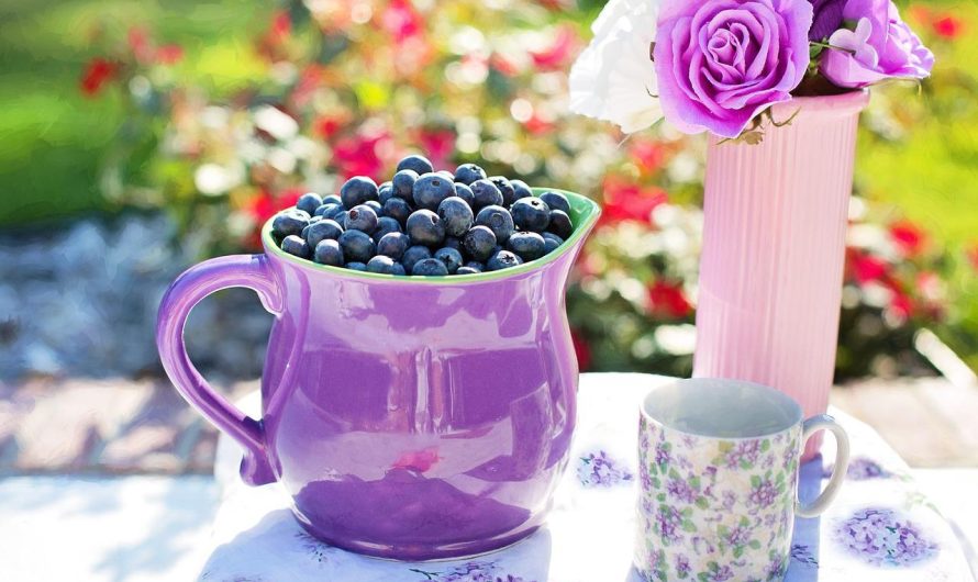 Wellhealthorganic.com:Blueberry-Brain-Boosting-Benefits | Blueberry and Benefits