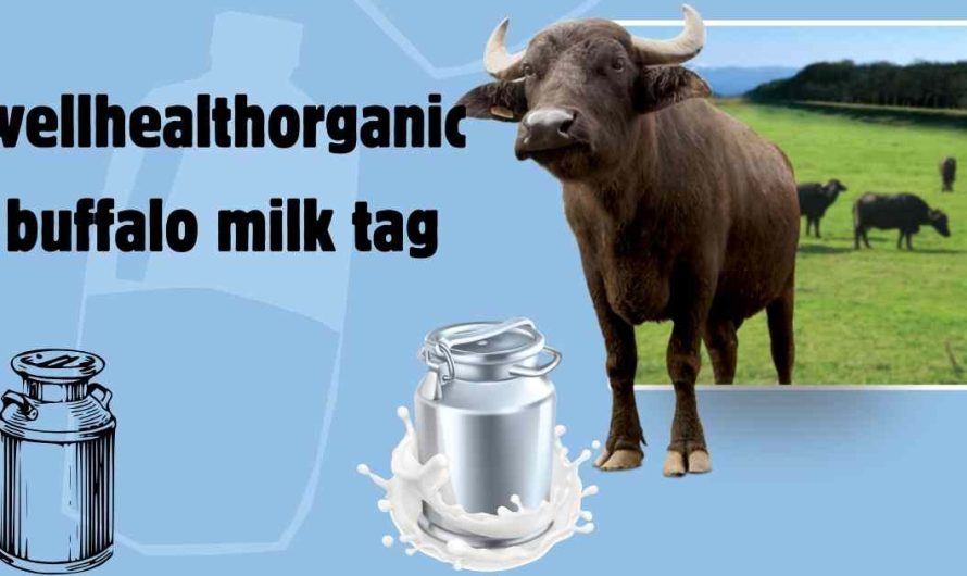 Wellhealthorganic Buffalo Milk Tag: From Strength to Vitality
